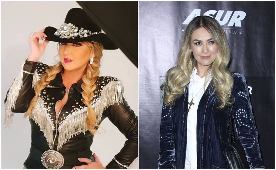 Aracely Arámbula aseguró que Luis Miguel es un padre ausente en todos los sentidos; Alicia Villareal opinó al respecto. Fotos: Clasos.