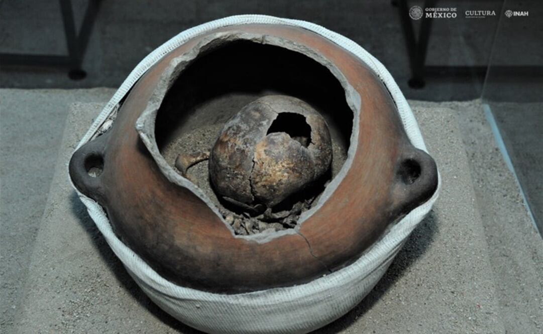 Esqueleto de un sujeto infantil. Foto: Mauricio Marat, INAH