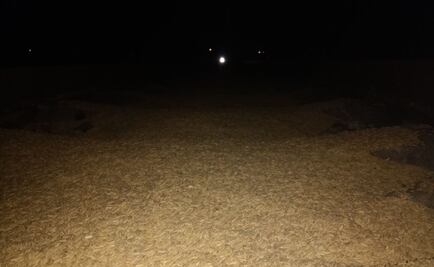 Roban miles de kilos de arroz de tren en Veracruz