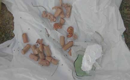 Hallan salchichas con alfileres en parques de España; buscan lastimar a perros