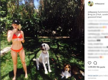 En bikini, Miley Cyrus recibe el verano