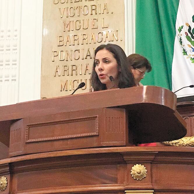 La presidenta de la Comisión de Desarrollo Económico, Lizette Clavel, aseguraba ayer que se conformaría el Consejo Económico, Social y Ambiental. ESPECIAL