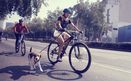 Google traza rutas para ciclistas mexicanos