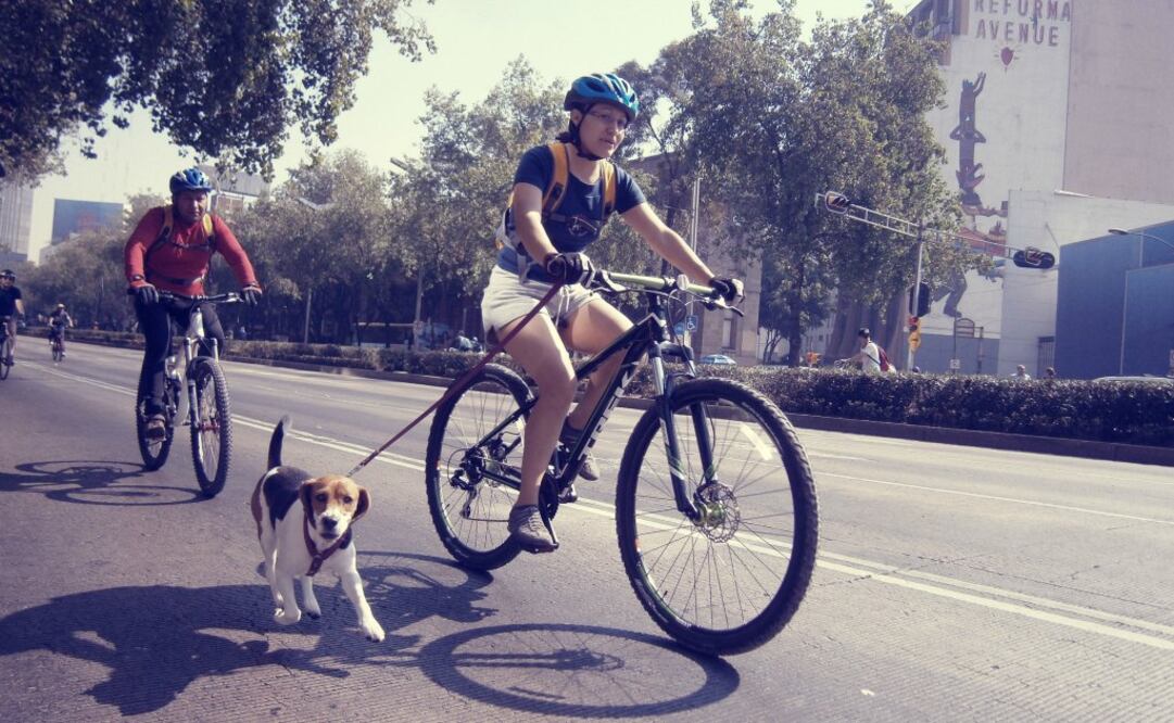 La empresa quiere construir el mapa “más completo, preciso y dinámico, que refleje el mundo que nos rodea”