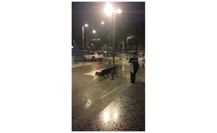 Se registra caída de granizo en la Cuauhtémoc