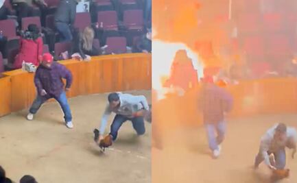 VIDEO. Así fue el momento de la explosión de una granada durante una pelea de gallos en Hidalgo