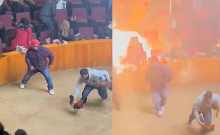 VIDEO. Así fue el momento de la explosión de una granada durante una pelea de gallos en Hidalgo