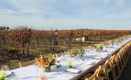 La comunidad de Napa y Sonoma unida tras los incendios