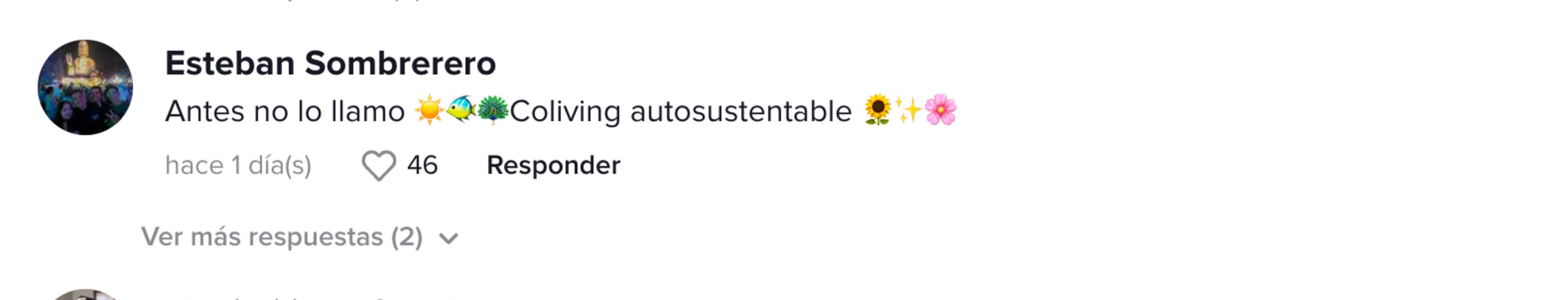 Respuesta a TikTok de campamento Urbano