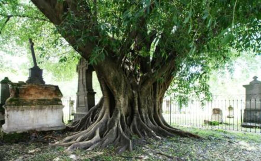 15 cosas que solo tiene Guadalajara