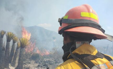 Consideran de alto riesgo incendio forestal al sur de Nuevo León