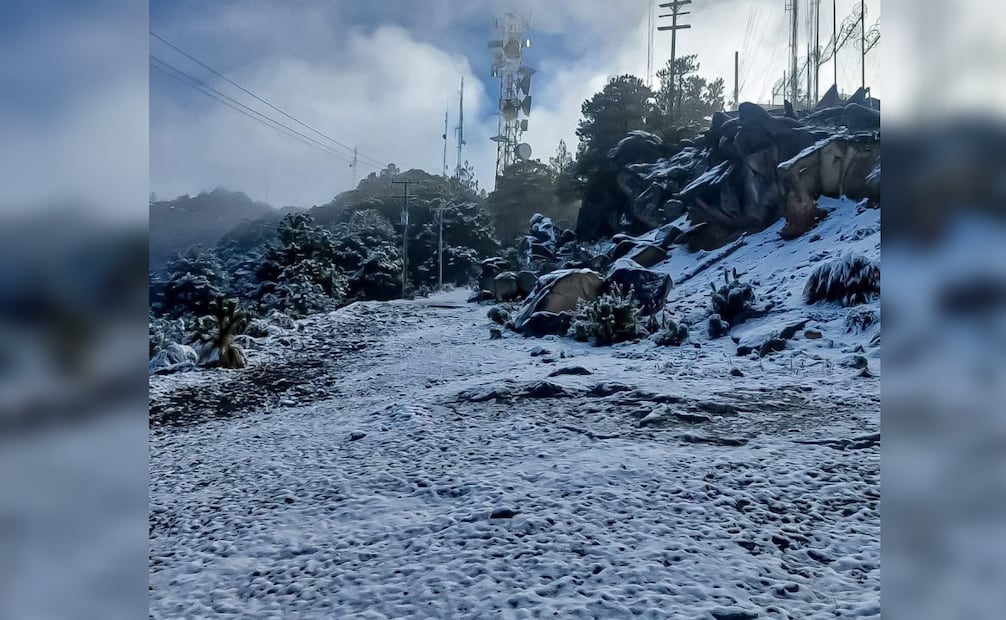 Bajas temperaturas provocan caída de nieve en Jocotitlán y Nevado de Toluca; visitantes llegan a las zonas.
Foto: Especial.