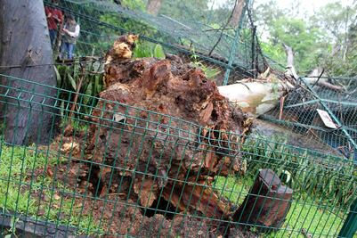 Lluvia deja nuevamente afectaciones en Michoacán