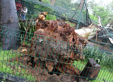 Lluvia deja nuevamente afectaciones en Michoacán