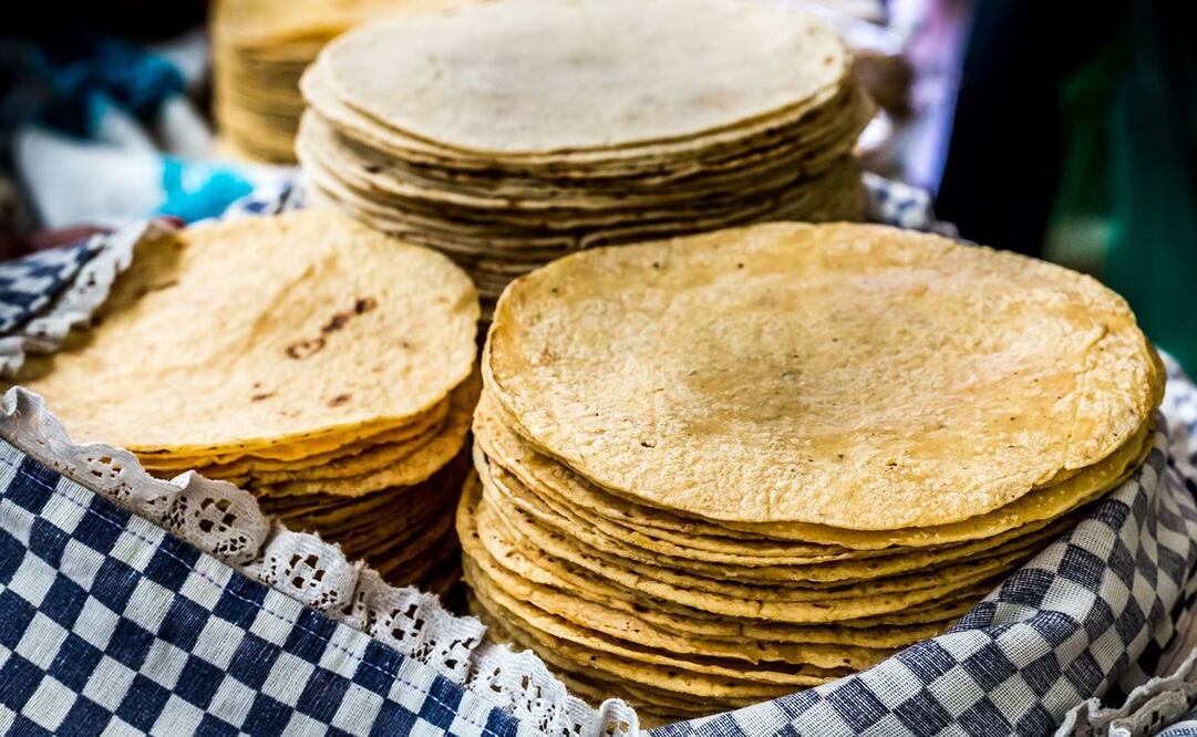 Consideradas el principal alimento de los mexicanos, las tortillas sufren la mayor carestía en más de una década. Foto: ISTOCK