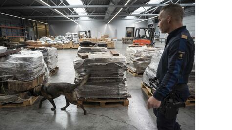 DEA y Europol alertan de “pacto criminal” entre el narco mexicano y grupos criminales en Europa