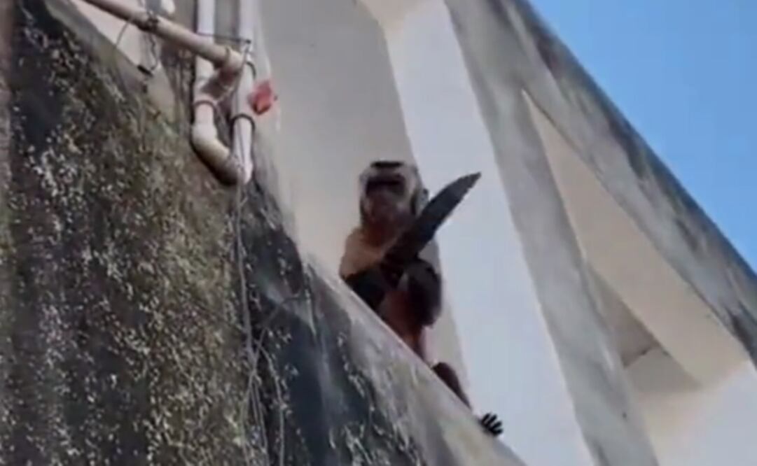 Foto: Tomada del video