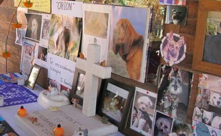 Aguascalientes to build dog park and pet cemetery 