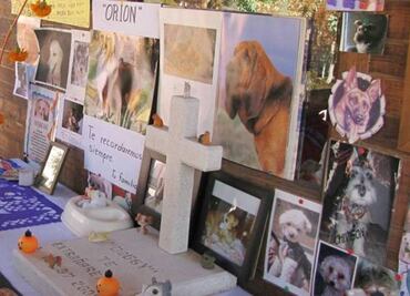 Aguascalientes to build dog park and pet cemetery