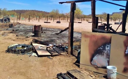 Prenden fuego a caballerizas y se quema viva a “Lucerito”, una yegua de 8 meses