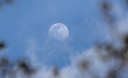 Hoy "Luna Rosa" en México, el evento astronómico de la primavera