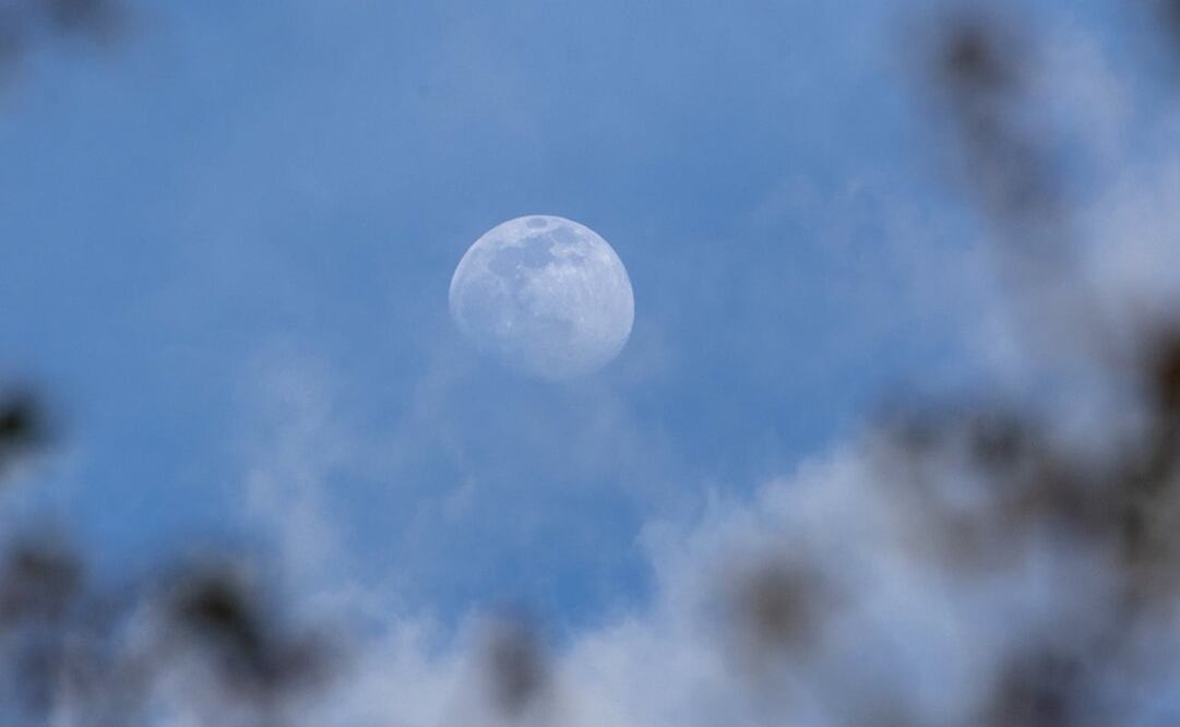 Foto: EFE/Javier Belver