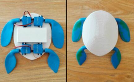 Diseñan robot tortuga para mejorar la producción de acuicultura
