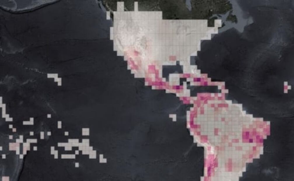 Crean mapa con lugares donde podría haber animales sin descubrir