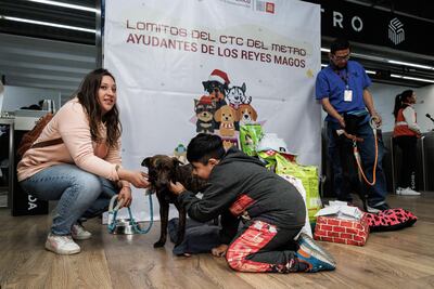 FOTOS Perritos rescatados del Metro se convierten en ayudantes de los Reyes Magos; pero también buscan un hogar