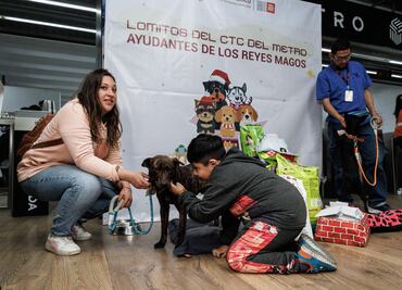 FOTOS Perritos rescatados del Metro se convierten en ayudantes de los Reyes Magos; pero también buscan un hogar