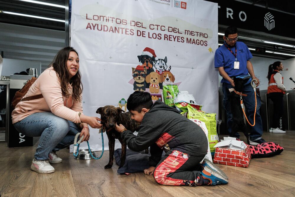 Perritos rescatados de las instalaciones del Metro acudieron a las instalaciones del  Museo del Metro, ubicado en la estación Mixcoac de la Línea 12, para convertirse en ayudantes de los Reyes Magos. (Foto: Yaretzi Osnaya/ EL UNIVERSAL)