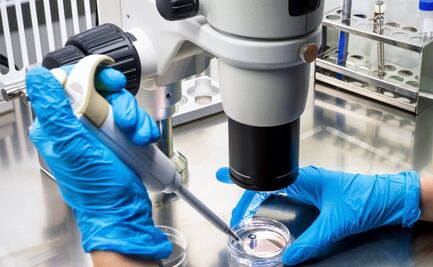 Es inaceptable que los ricos pisoteen a los pobres por la vacuna, dice la OMS