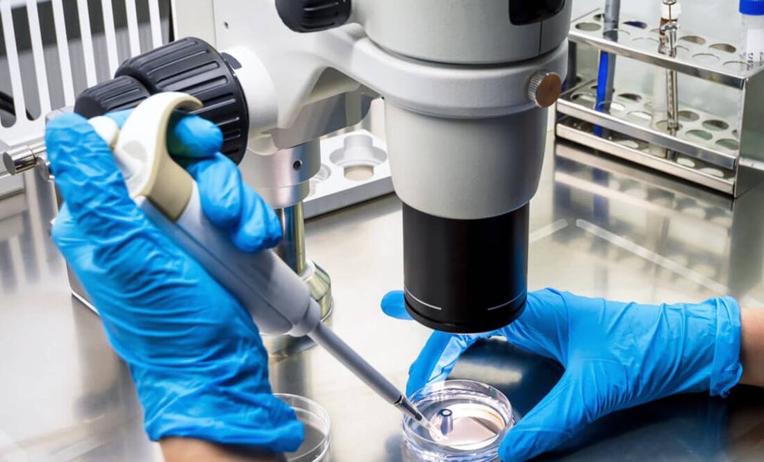 Es inaceptable que los ricos pisoteen a los pobres por la vacuna, dice la OMS