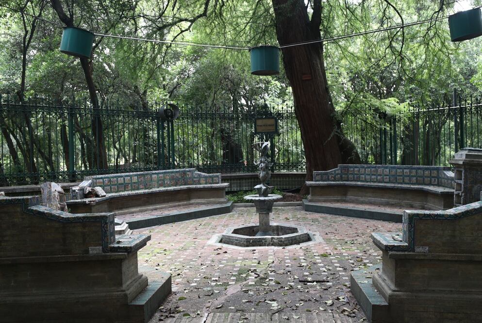 El Bosque de Chapultepec mide 678 hectáreas y es uno de los pulmones más grandes de América Latina (Crédito: Alejandra Leyva / EL UNIVERSAL)