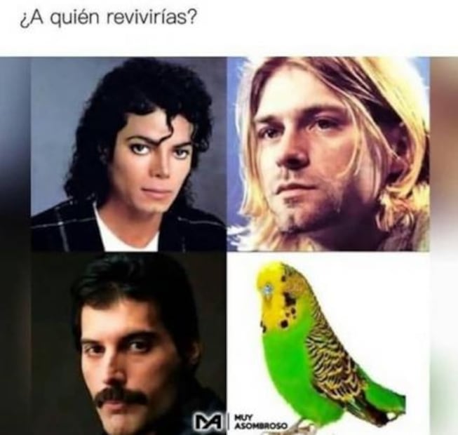 "Chimuelo", el primer viral de 2019 que llegó a la publicidad