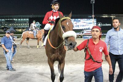 Fiesta hípica de aniversario