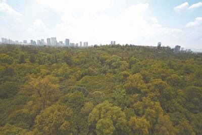 “Chapultepec, piezas con nombres rimbombantes, pero no hay plan maestro”: Alberto Kalach