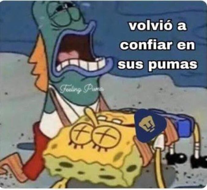 Pumas Memes