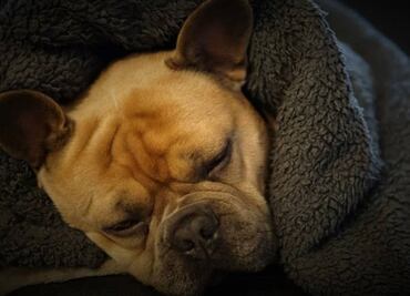 ¿A qué hora hará más frío hoy, 1 de diciembre de 2021?