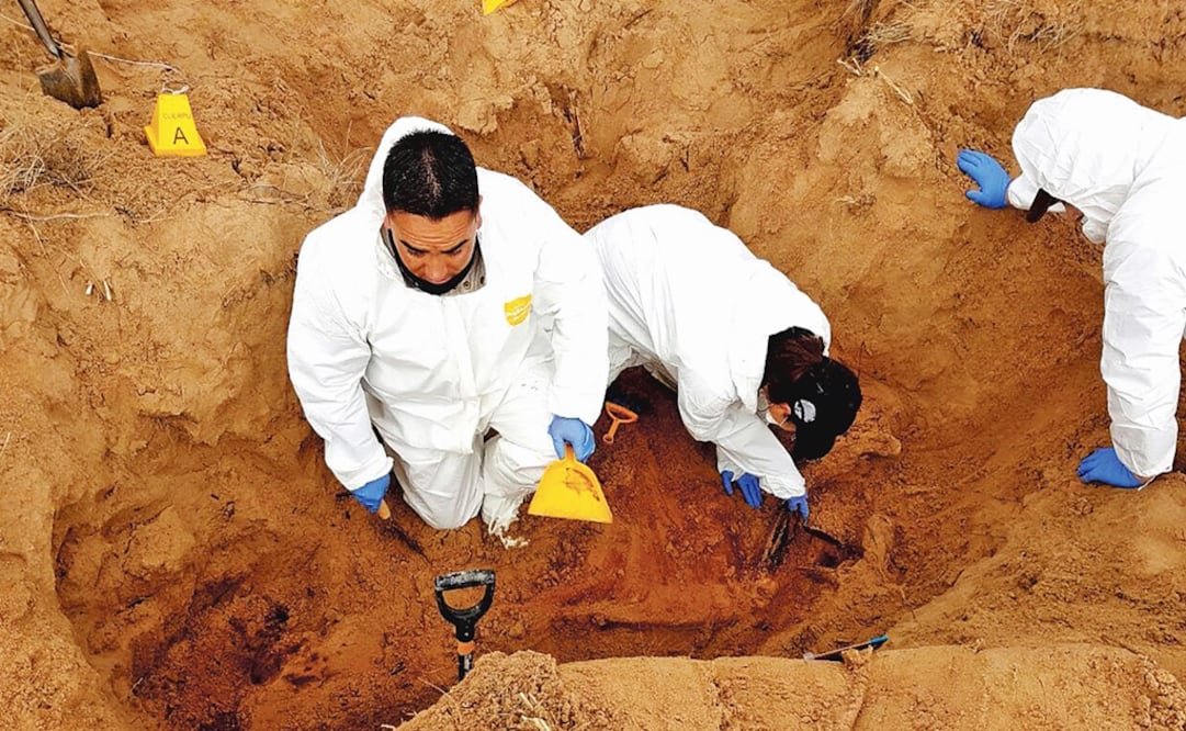 In recent years, Mexico has unearthed thousands of bodies and found thousands of mass graves - Photo: Courtesy of the Attorney General’s Office