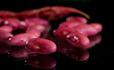 El tipo de legumbre que ayuda a mantener el sistema nervioso saludable