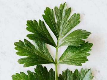 Tres hierbas para aliviar el dolor de muelas