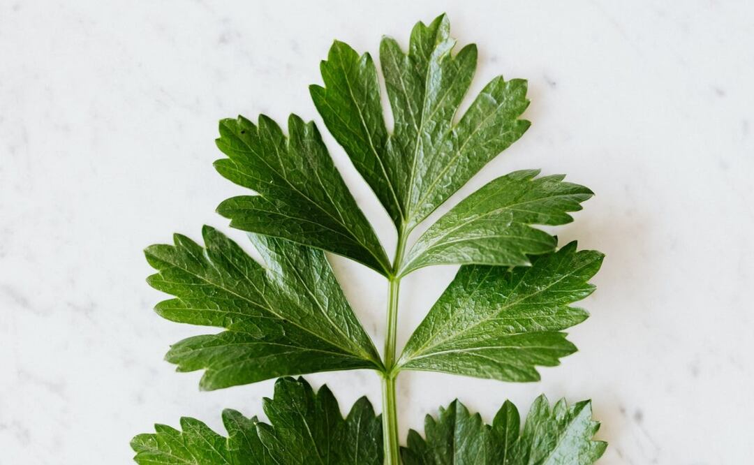 Foto: Karolina Grabowska / Pexels