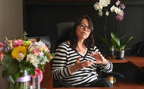 Blanca Lucía Prado Named New Director of UNAM's Institute of Geology; Outlines Research Priorities