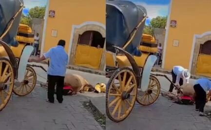 Reportan caso de maltrato animal en Izamal, Yucatán; caballo se desploma mientras jalaba una carreta turística