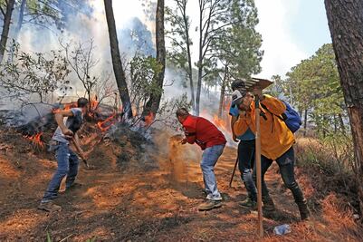 Incendios arrasan 250 ha en Uruapan
