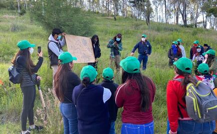 Reforestan con 200 árboles principal pulmón de ciudad de Puebla