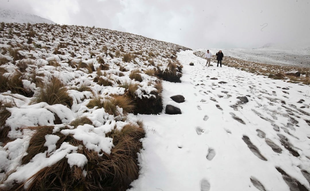 (Foto: Jorge Alvarado/El Universal)