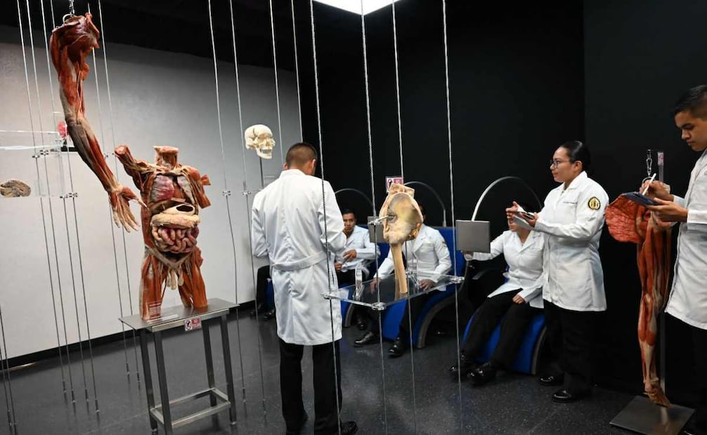 Semar lanza convocatoria para participar en el ingreso a sus Establecimientos Educativos Navales. Foto: Especial