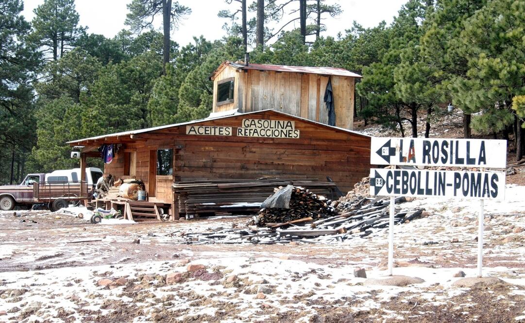 Foto: Archivo EL UNIVERSAL